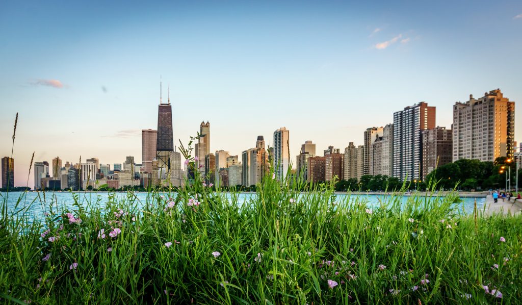 Spring Cleaning Your IT Infrastructure: The Benefits of Managed IT Services in Chicago